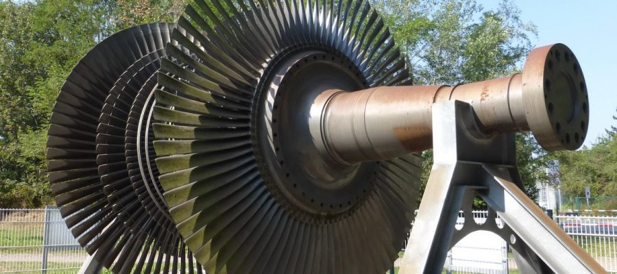 photo_3_2026-02-04_10-52-42