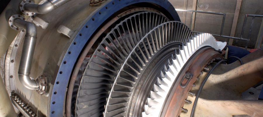 photo_5_2026-02-04_10-52-42